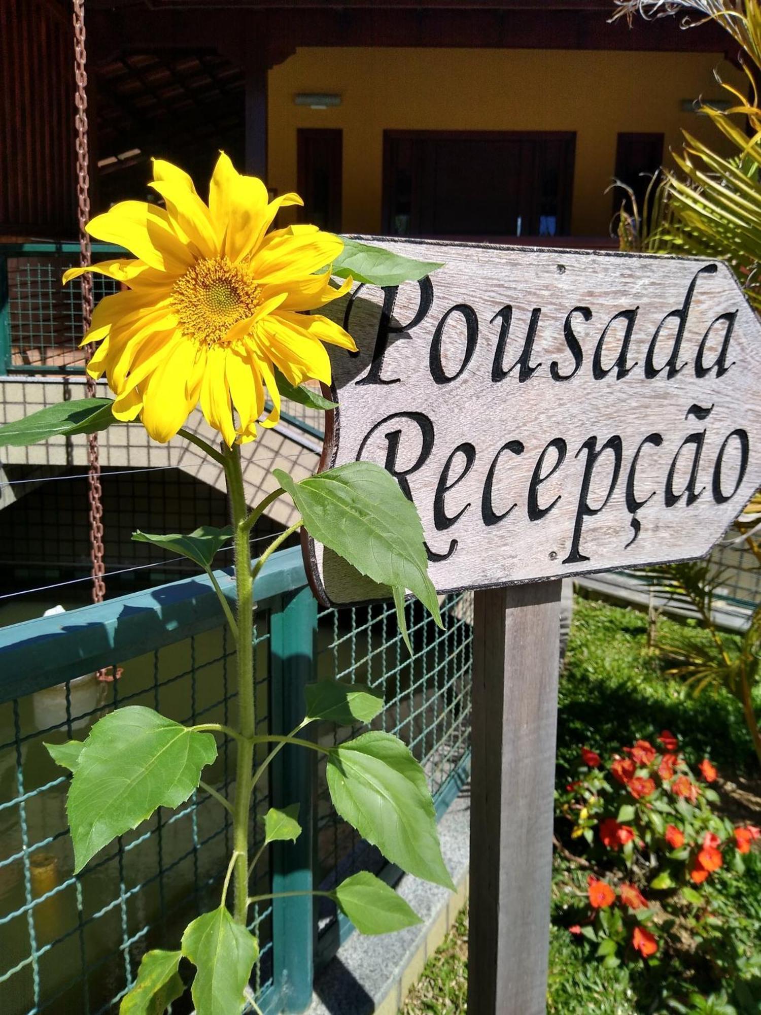 Pousada Recanto Das Flores Nova Friburgo Exterior photo